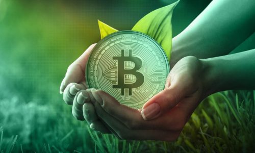 Criptomoedas verdes: Blockchain para causas ecológicas