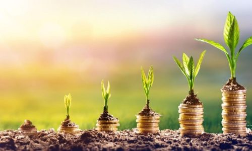 Guia básico para começar a investir do zero